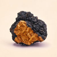 Chaga