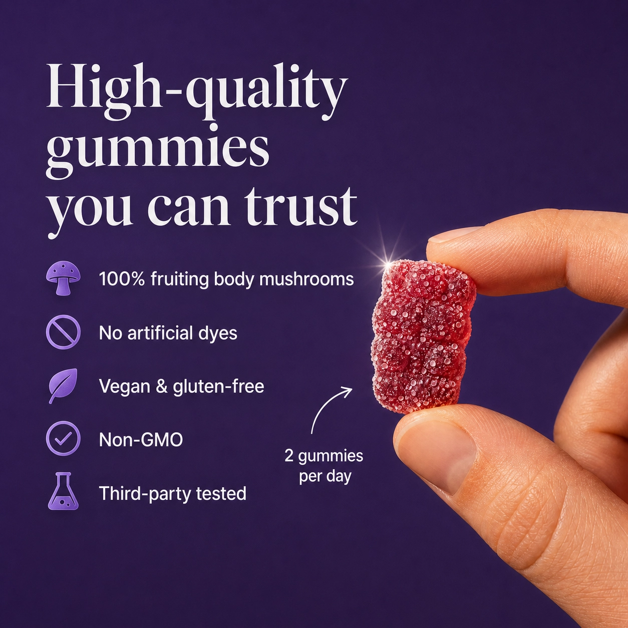 Functional Mushroom Gummies