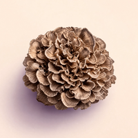 Maitake